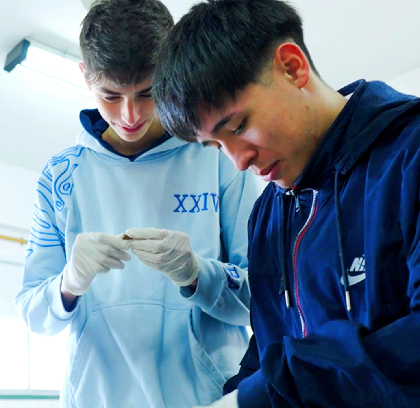 Secundaria